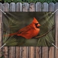 thumbnail image 3 of Northern Cardinal Red Pine Perch Home Business Office Sign, 3 of 4