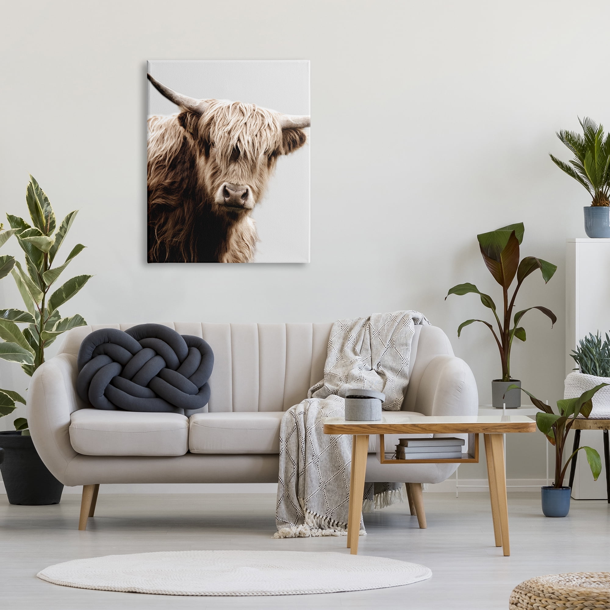Stupell Industries Wooly Cattle Portrait Animals & Insects Photography Gallery Wrapped Canvas Art Print Wall Art, 30 x 40