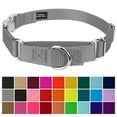 thumbnail image 2 of Country Brook Petz® Silver Heavyduty Nylon Martingale with Premium Buckle, Extra Small, 2 of 6