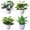 White, variant on Faux Plants Indoor, Artificial Plants for Home Decor Indoor, Small Fake Plants - Fake Plants Decor and Decorative Plants, Fake Plant and Artificial Plant - White Pot