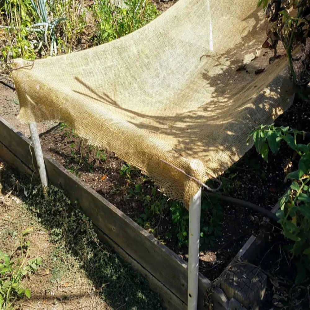5.3FT x 30FT Heavy Duty Natural Burlap Weed Barrier & Seed Cover Fabric – Durable Jute for Raised Garden Beds & Tree Trunk Protection (Compostable)