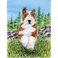 thumbnail image 1 of Carolines Treasures SS8320CHF Toile Drapeau à Collets Barbus - Taille de la Maison, 1 of 4