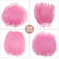thumbnail image 7 of 400PCS Pink Feathers 3-7 inch, 4 Styles Assorted Feathers for DIY Crafts Wedding Halloween Costume Party Decorations Dream Catcher Supplies, 7 of 7