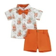 Douhoow Toddler Boys Easter Outfits 2T 3T 4T 5T Kid Summer Rabbit Print