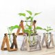 thumbnail image 5 of Planta Hidropónica Florero Transparente Marco De Madera Mesa Decorativa Vidrio Transparente Contenedor De Flores Bonsai Planta Decoración Florero Guardurnaity HA039933-04, 5 of 6