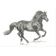 thumbnail image 2 of Parker, Jennifer Paxton 18x13 Gold Ornate Wood Framed with Double Matting Museum Art Print Titled - Wild Horse Portrait II, 2 of 4