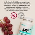 thumbnail image 3 of Restart NAD+ Ultra 30 Cápsulas | 300 mg Nicotinamida Ribosa + 65 mg Trans-Resveratrol 99% | Potencia 3X | Suplemento Vegano de Alta Pureza | Sin Aditivos | Hecho bajo Certificación GMP, 3 of 7