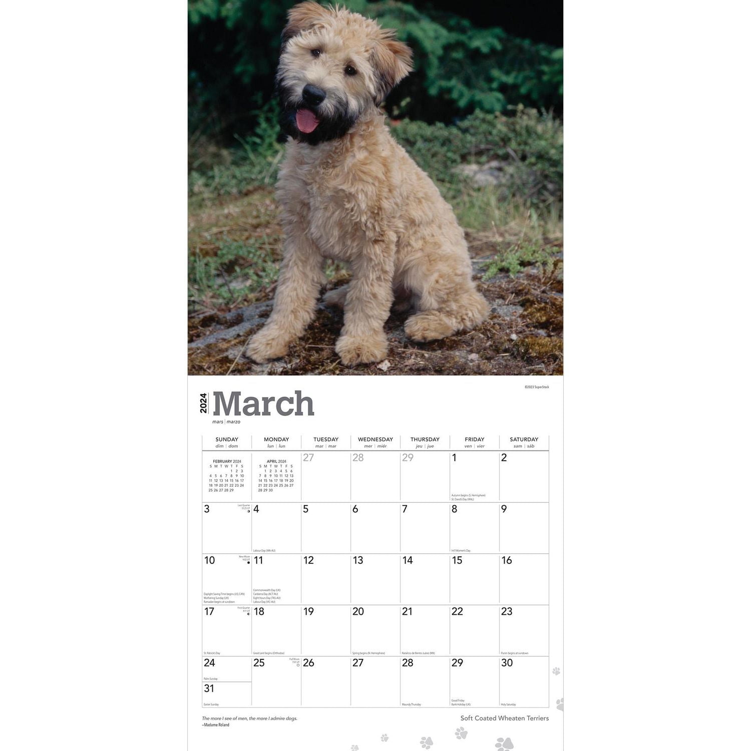 BrownTrout Soft Coated Wheaten Terriers 2024 12x24 Inch Square Wall Calendar, 9781975465728