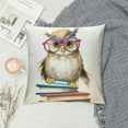 thumbnail image 2 of Nawypu  Cute Owl Books Throw Pillow Cover Modern Cushion Square Pillowcase for Sofa Bed Car Home Decorative, 2 of 5