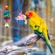 thumbnail image 5 of 8 Uds juguetes para loros columpio masticar colgante jaula con campana hamaca juguetes para periquitos pequeños cacatúas loros pinzones, 5 of 5