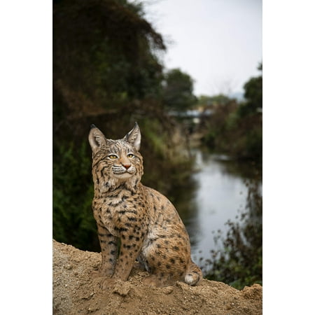 Hi Line 12 in Sitting Bobcat Garden Statue, Driftwood Composition, Intricate Detail