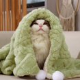 thumbnail image 2 of FYTPOV Dog Blanket, Pet Blanket for Bed Couch Sofa, Fluffy Cat Blanket for Cats Dogs, Double-Sided Dog Blanket for Couch, Throw Blankets, Green, 21.65x17.72 in, 2 of 5