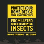 Amdro Quick Kill Carpenter Ant, Bee, Termite Killer Foam 18oz 2 Pack Bundle