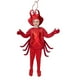 thumbnail image 1 of Disfraces de Cangrejo - Disfraz de Animales del Mar - Traje de la Primavera para Niñas y Niños - Vestuario de Cangrejos Marinos T6, 1 of 6