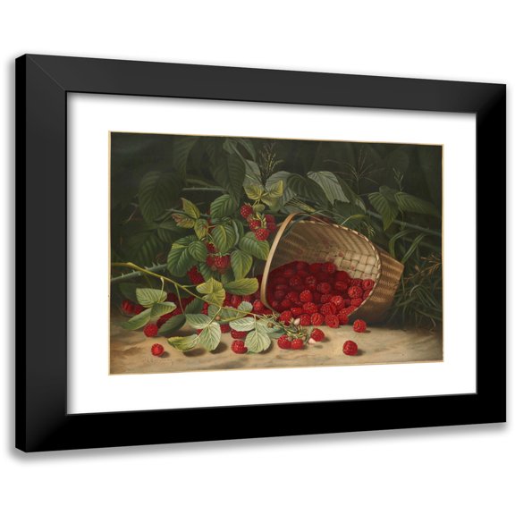 Virginia Granberry 14x11 Black Modern Framed Museum Art Print Titled - Raspberries (ca. 1861-1897)
