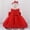 Red, variant on Toddler Girl Dress Size 12-18M Kids Lace Bowknot Tutu Sleeveless Baptism Christening First Birthday Dress Girl Dresses