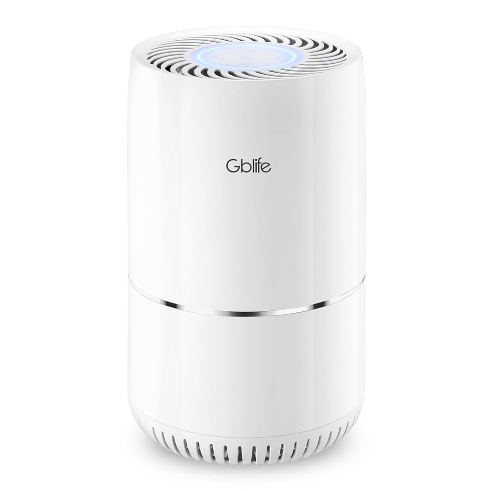 Air Purifier for Office，Home, Bedrooms, Filters Pollen, Smoke, Dust, Pet Dander, Gblife KJ65F