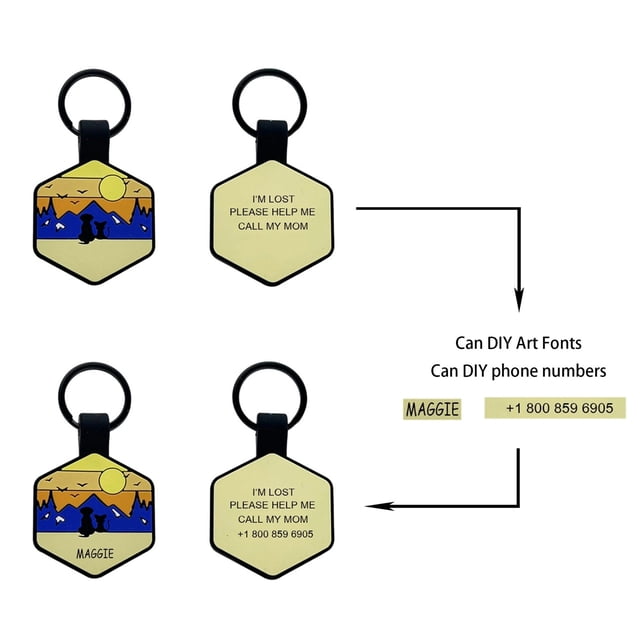 Collier Hexagonal en Silicone pour Animal de Compagnie avec Double Gravure d'Identité pour la Prévention des Pertes et l'Extérieur