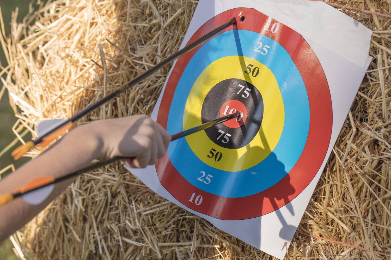 Bear Safetyglass Archery Arrows