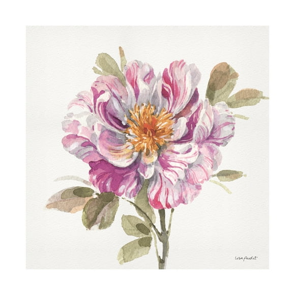 Lisa Audit 'Obviously Pink 04' Canvas Art