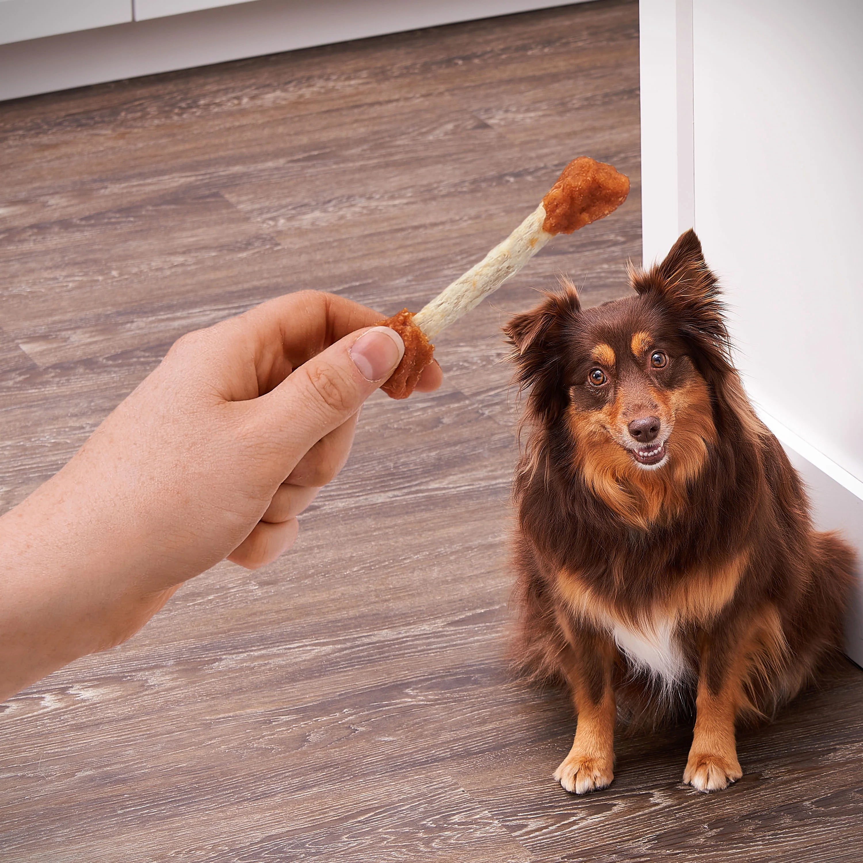 (6 pack) Ol' Roy Beef hide Coated Munchy Sticks, Chicken Recipe, Dry Training Treats for Dogs, 16.9 oz, 40 Count