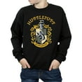 thumbnail image 3 of Harry Potter Boys Gryffindor Cotton Sweatshirt, 3 of 6