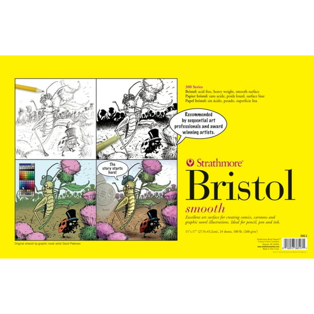 Strathmore Sequential Art Bristol Paper Sheet, 300 Series, 11in x 17in