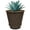 Walnut Brown, variant on Headwind Cordova Glazed Planter – 5" Antique White with Saucer Lightweight Gardening Pot Planters & Accessories – Decorative Plant Pots for Indoor & Outdoor Use by Robert Allen