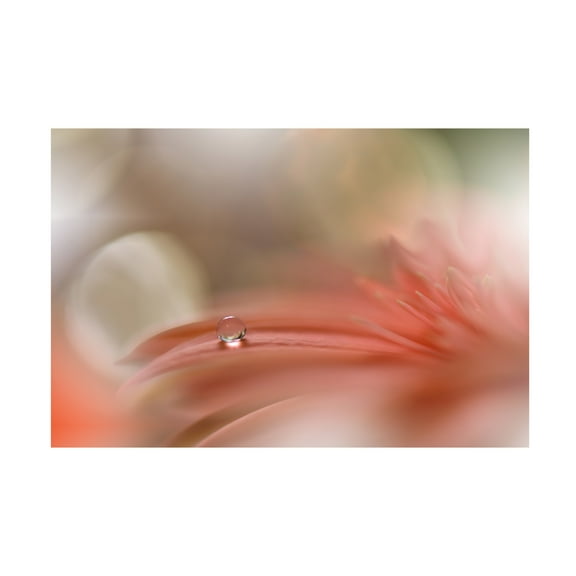 Canvas Wall Art - Juliana Nan 'Light Touch ' Wall Art for Living Room, Bedroom, or Office D?cor by Trademark Fine Art - 19 x 12 Inches