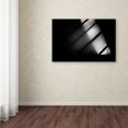 thumbnail image 3 of Trademark Fine Art 'Crossing' Canvas Art by Frank Dalemans, 3 of 3
