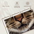 thumbnail image 6 of Elephant Stock Cat Whiskers Wall Art - Horizontal Multi Panel Canvas - Living Room Wall Decor - Animal Multi Panel - Gray And Brown Decor - 33" x 20", 6 of 8