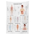 thumbnail image 3 of Ambesonne Human Anatomy Tablecloth Rectangular Table Cover, Organs Body Structure, 52"x70", White and Multicolor, 3 of 4