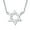 Silver-C, variant on Bling Jewelry Womens Traditional Magen Judaic Star of David Pendant Necklace 14K Gold Plated Silver
