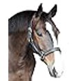 thumbnail image 3 of Henri de Rivel Licou Rembourré Cristal - Noir - Cob, 3 of 3