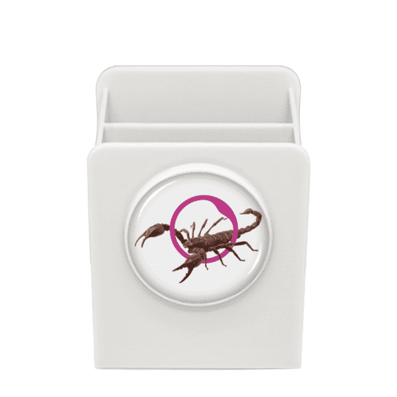 Scorpion Natural Insect Litation Desk Pencil Holder Cup Pen Organizer