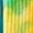 yellow, variant on Tie-dye cotton socks street tide socks women's gradient fashion sports personalized tide-Yellow green