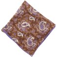 thumbnail image 1 of Isaia Maroon / Paisley Purple Pochette 33x33 Pocket Square - One Size, 1 of 1