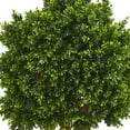 thumbnail image 2 of Nearly Natural 46" Boxwood Artificial Topiary Tree UV Resistant (Indoor/Outdoor), 2 of 5