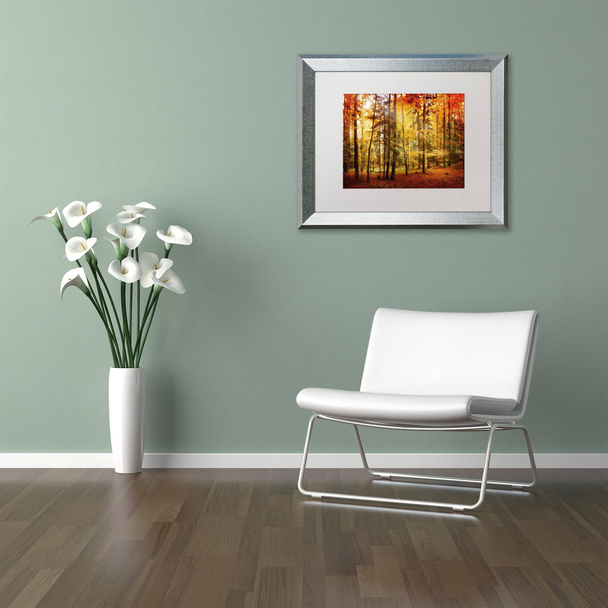 Trademark Fine Art "Fall Color" Canvas Art by Philippe Sainte-Laudy White Matte, Silver Frame