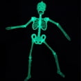thumbnail image 2 of One opening Halloween Luminescent Skeleton Decors Full Body Faux Human Skeleton, 2 of 8