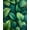 Green, Pattern 3, variant on ODIKA 4'x6' Machine Washable Non-Slip Area Rug, Exotic Foliage Velveteen Luxury Non Slip Bath High Traffic Rug, Green, 84059