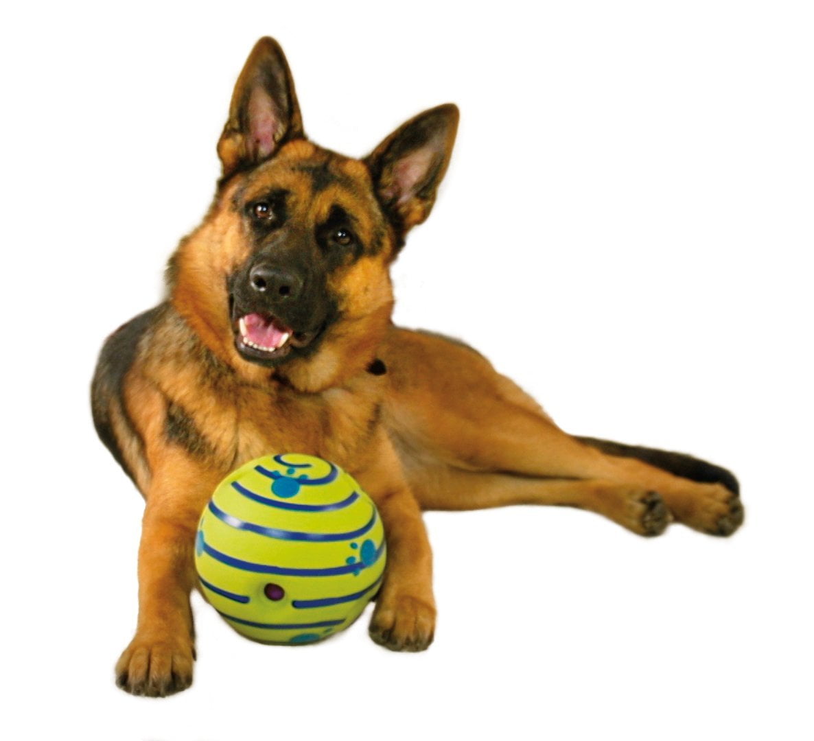 wiggle wobble giggle ball for dogs
