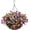 Dark Purple, variant on Pinsai Artificial Hanging Flowers in Basket Artificial Daisy Flower 12 inch Coconut Lining Basket for Outside Home Yard Porch Patio Balcony Spring Decoration