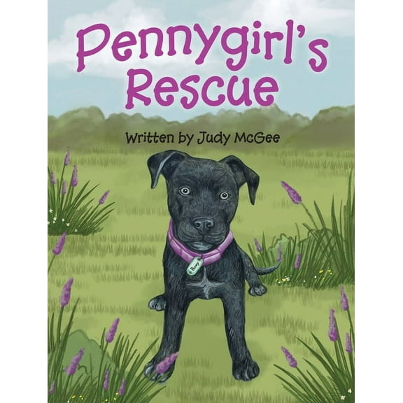 The Pennygirl Pennygirl's Rescue, Book 1, (Hardcover)