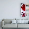 thumbnail image 3 of Trademark Fine Art 'Red Gellow' Canvas Art by Roderick Stevens, 3 of 3