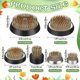 thumbnail image 3 of 6Pcs Flower Frogs Round Brass Floral Frogs Flower Holder Japanese Ikebana Vase Kenzan Flower Arrange, 3 of 5