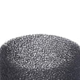 thumbnail image 2 of Evolution R15vac Foam Filter, 2 of 4