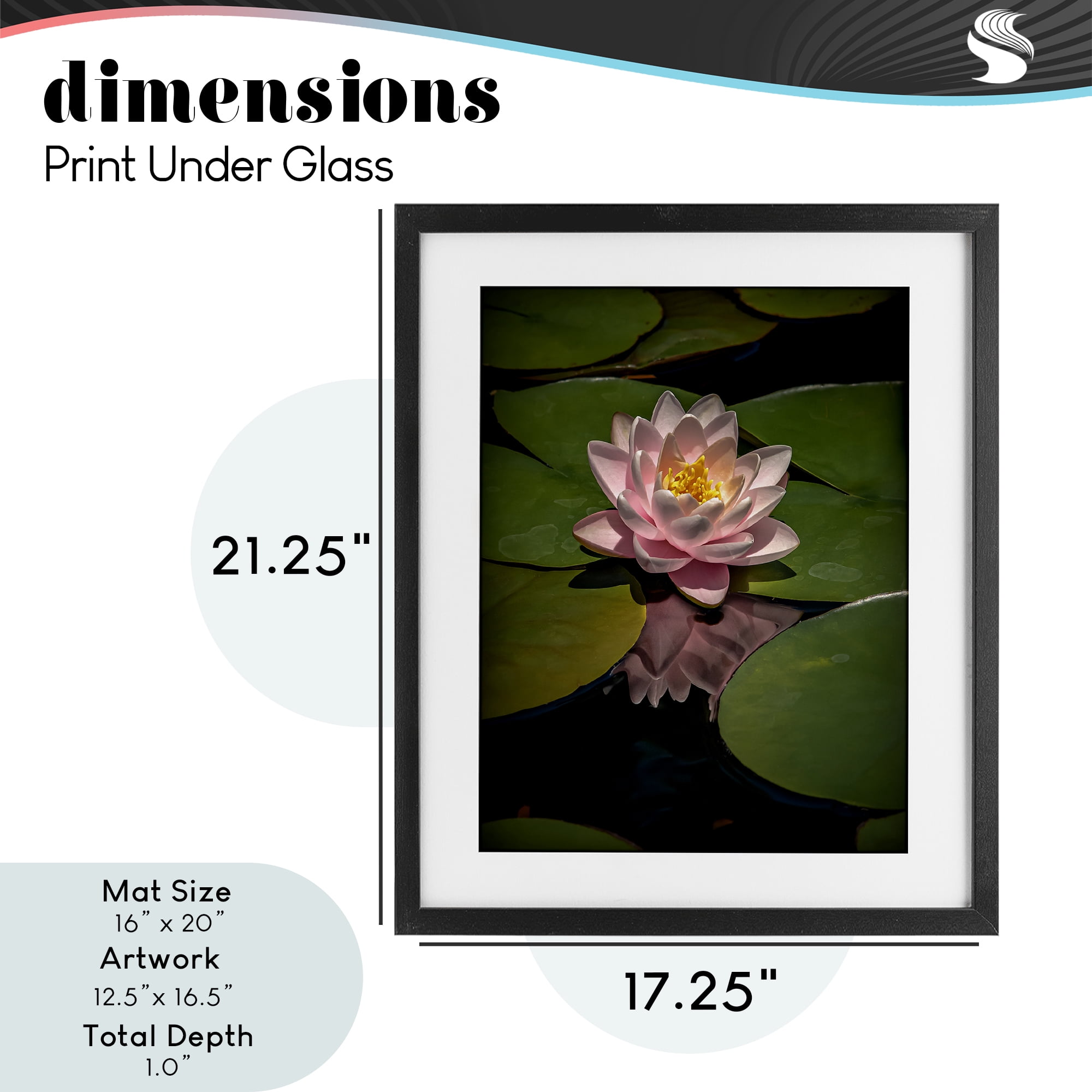 Pink Lotus Among Lily Pads Black Framed Print Under Glass, design by Phillip Flowers