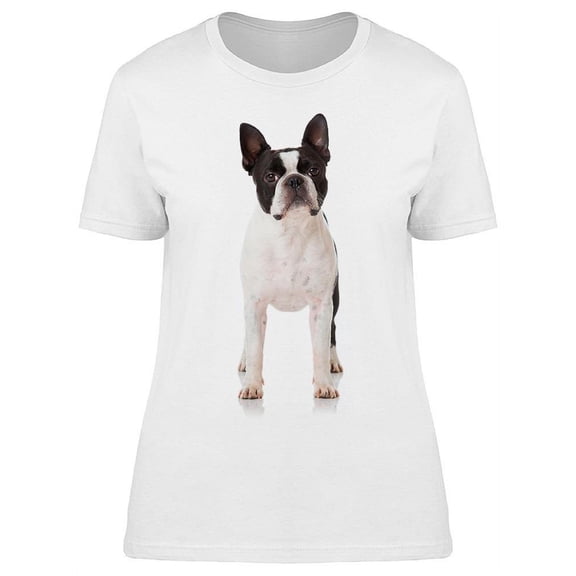 Terrier Dog, Looks At You T-Shirt Women -Image by Shutterstock, Female XX-Large