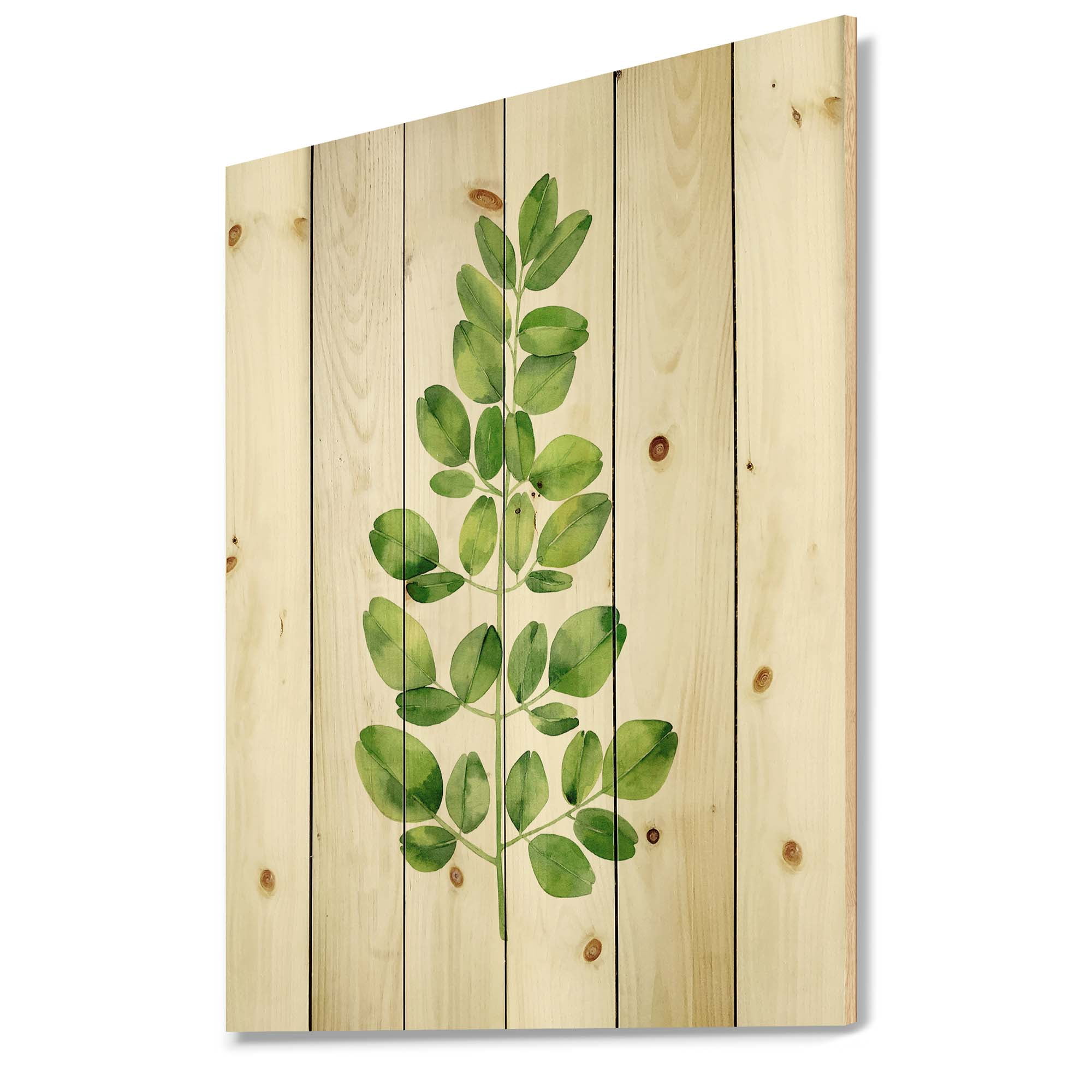 Designart 'Moringa Plant Branch Tropical Tree Foliage' Farmhouse Print on Natural Pine Wood